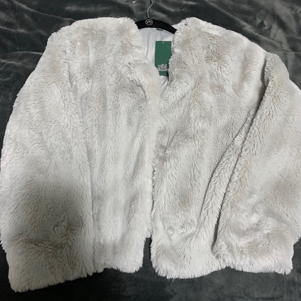 Wild Fable Faux Fur Coat
